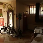 Wiosna 3*